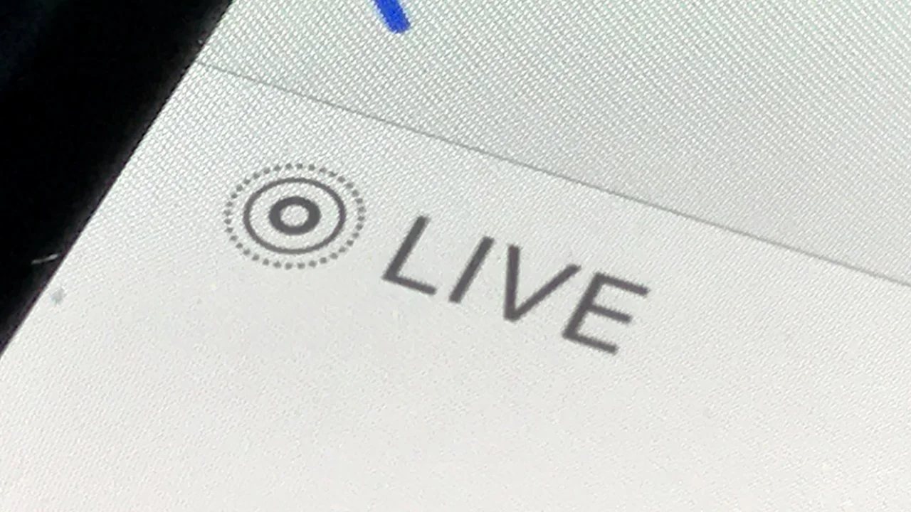 frases cotidianas live inglés