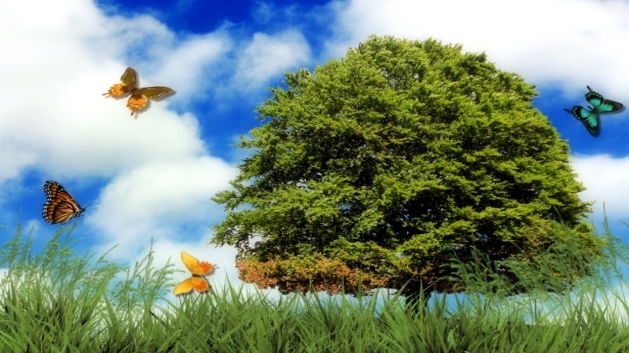 expresiones naturaleza inglés
