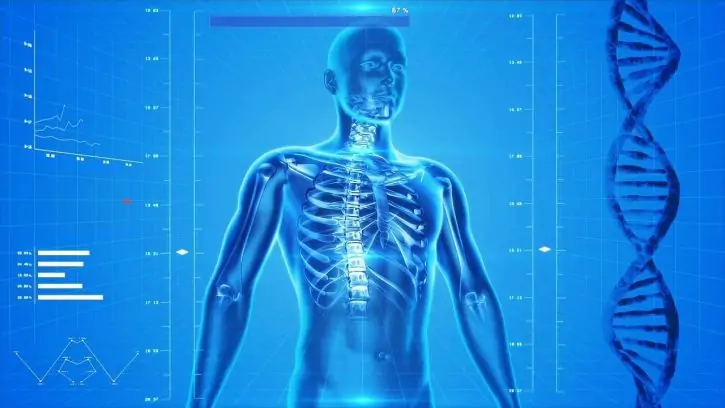 Vocabulario básico de las partes del cuerpo en inglés