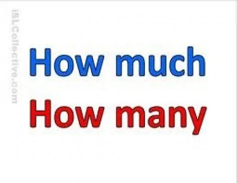 contable-incontable-ingles